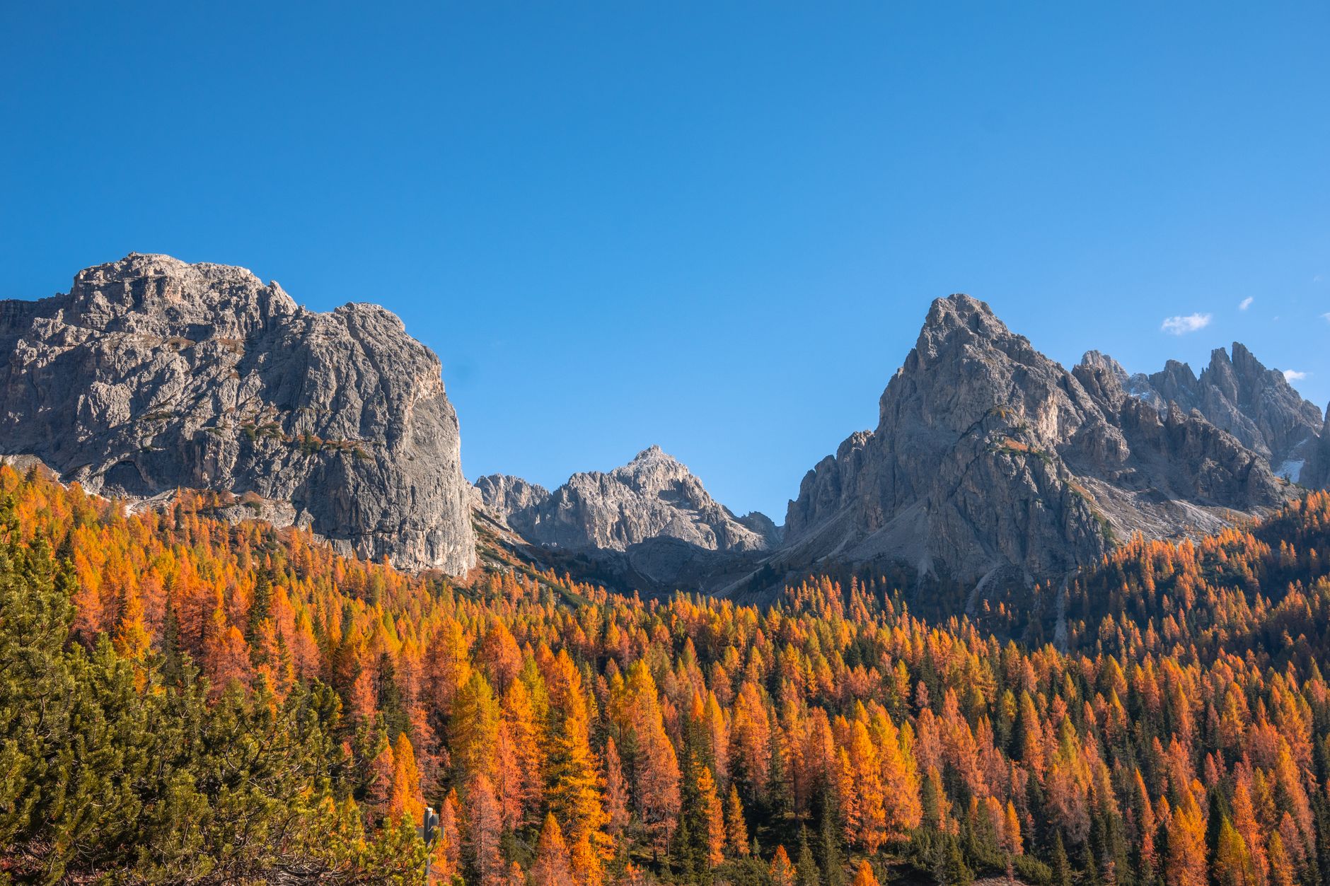 Alpine meadow in the Dolomites